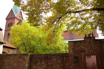 10 Neustadt-Main Klosterkirche